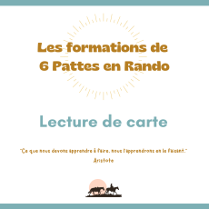 Masterclass Formation lecture de carte (débutant) - LIVE